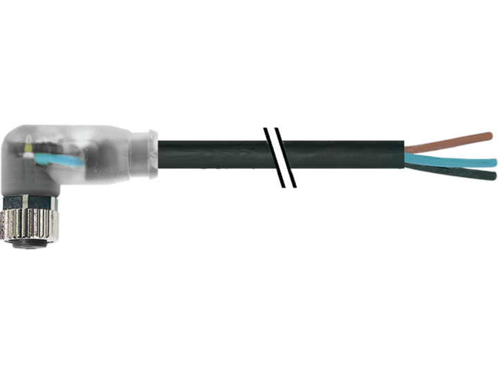 CAM8.A3-11231036