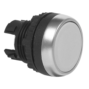 L21AA35 Drukknop Wit, Spring return, Flush, Markering op aanvraag, 22-serie