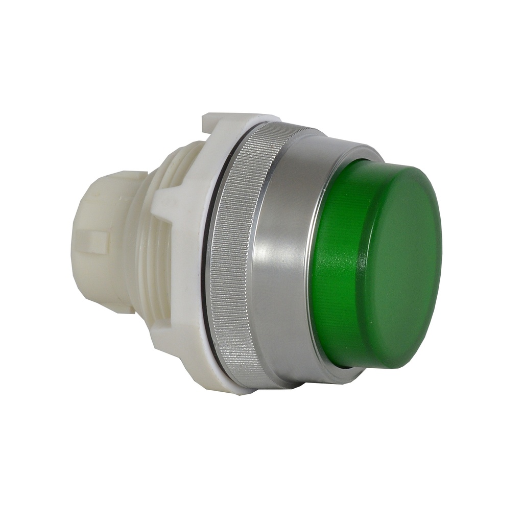 T16AK20 Drukknop Groen, Spring return, Non-flush, 30-serie