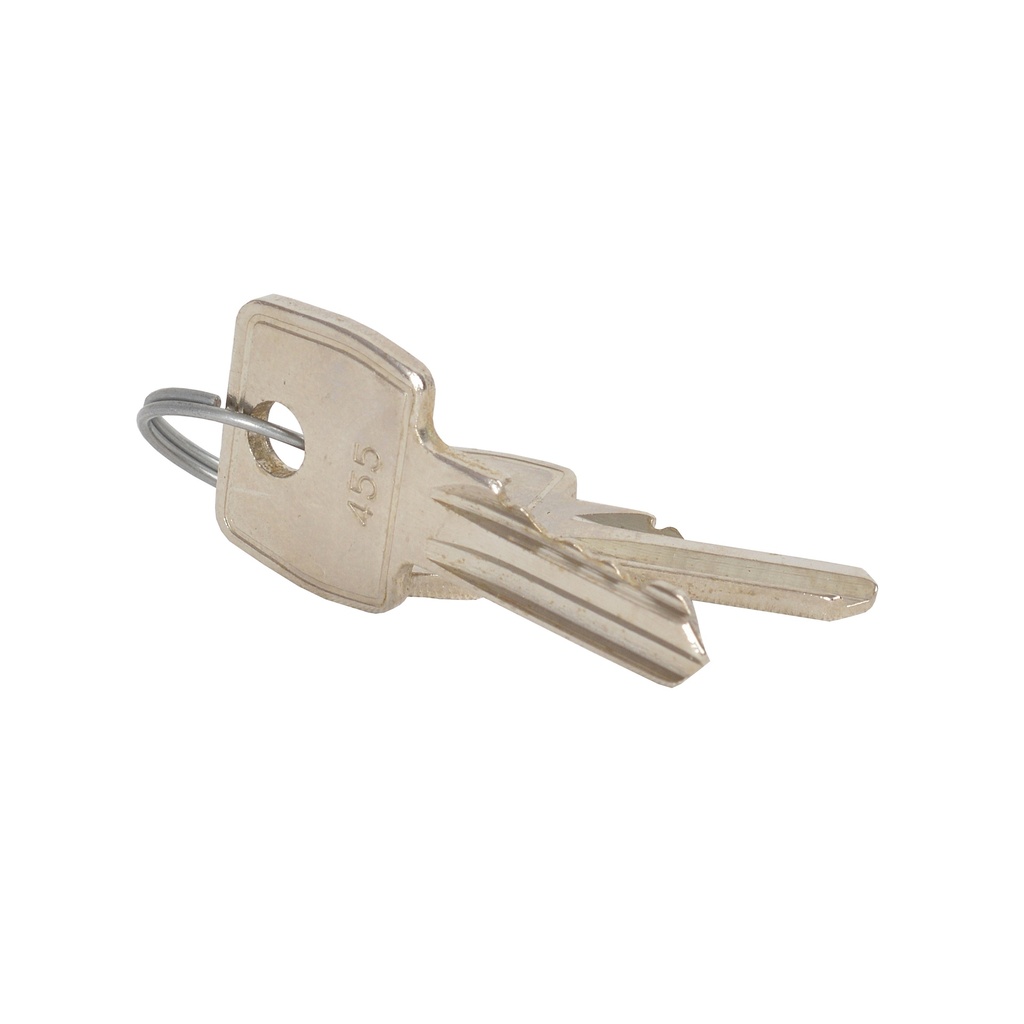 Sleutel 455 set van 2 stuks