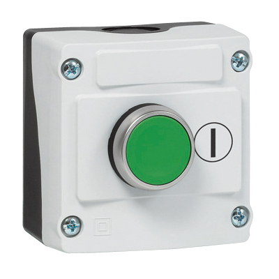 LBX10110 Drukknop in behuizing, groen, spring-return, NO