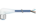 CAM12.A4-11232910